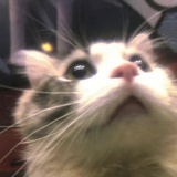 。。。
