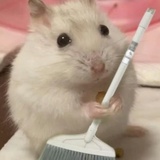 咪咪芽芽