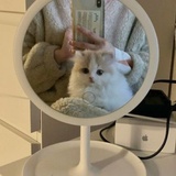 神经不是神经病