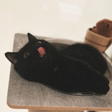 非momo