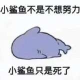 豆友MBLu3ZSm9A