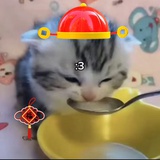 我吃饱了