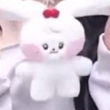 kassy