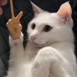 第一我不叫喂
