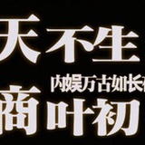 95top商叶初