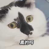 小乖就是最棒的