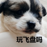 祝桥镇阿海