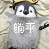 随便听听