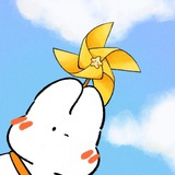 金希希