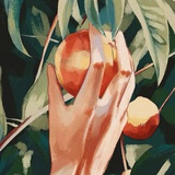 Héloïse