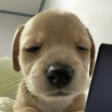 奶茶蛋糕甜品🏆