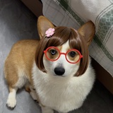 rojo吃面包