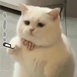 你爱吃鸡排吗