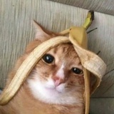 何事离席