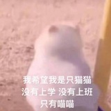瓜宝贝健康快乐