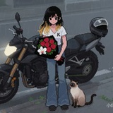加勒比海喵～