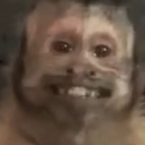 流泪的猩猩