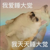 悠哉乎飘起