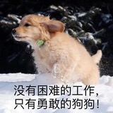 大龄废物