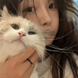 睡个懒觉⁸