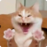 嘎