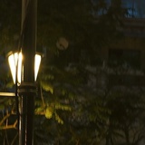 想不到昵称