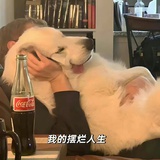隔壁家二壮