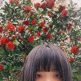 阿cat是小野
