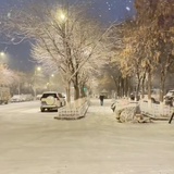 mοmo
