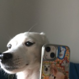 hdudnrrjjr