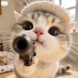 废话少点
