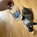 mwmwm