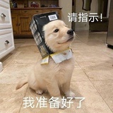 绝世好青年