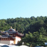 北方雪