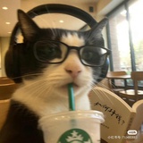 静候睡觉日