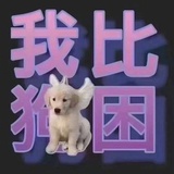 请狗狗吃鸡肉串