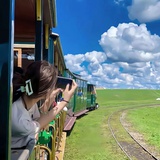 把众人护至身前