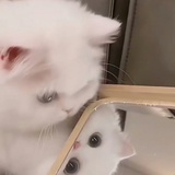 滴滴滴