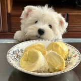 咩咩