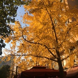 小时