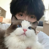 小猫警长