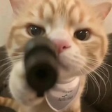 眠
