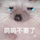 玉羽