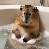 多喝热水