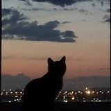 DuskBlueMoon