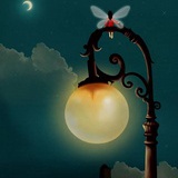 昨夜|入梦来