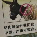 咏春