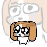 哦哦