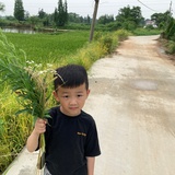 穿裤子的云