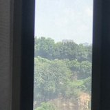 西鸟
